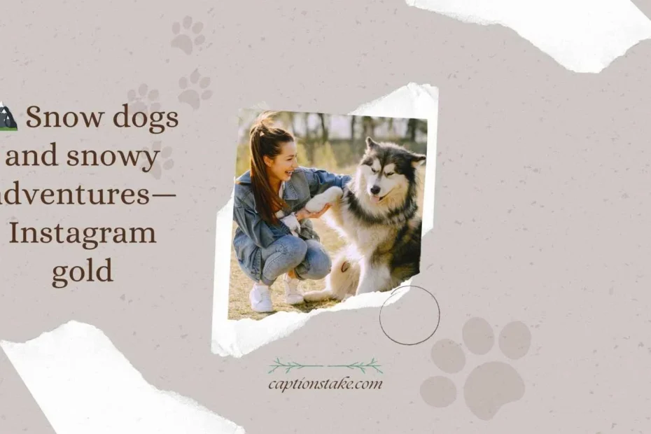 Snow Dog Captions For Instagram