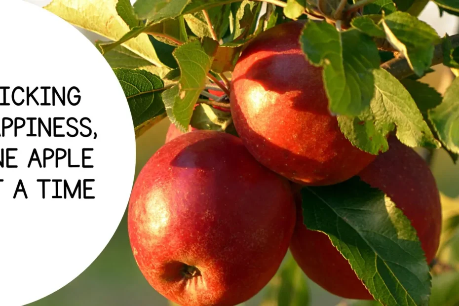 Apple Picking Instagram Captions