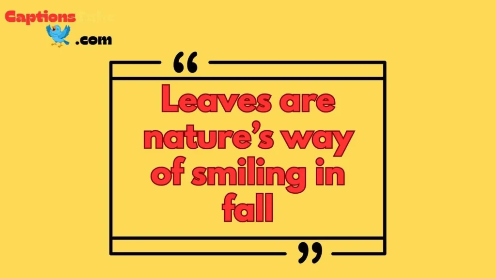 Autumn Leaves Captions