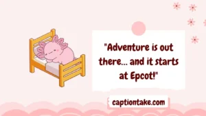 Epcot Captions For Instagram