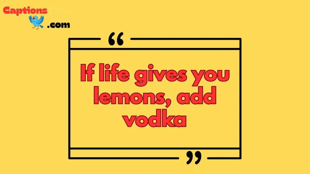 Funny Drinking Captions