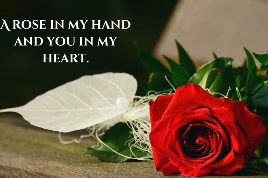 Heartfelt Rose for instagram Captions