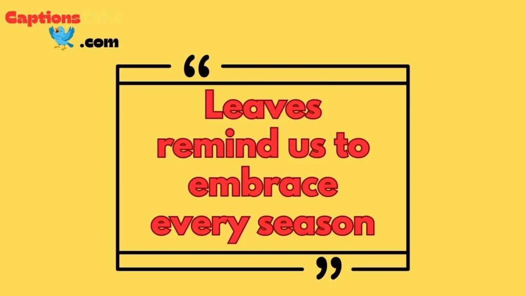 Inspirational Leaves Captions