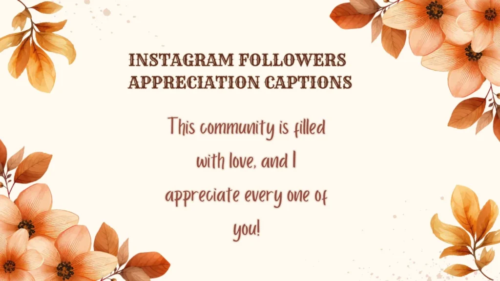 Instagram Followers Appreciation Captions