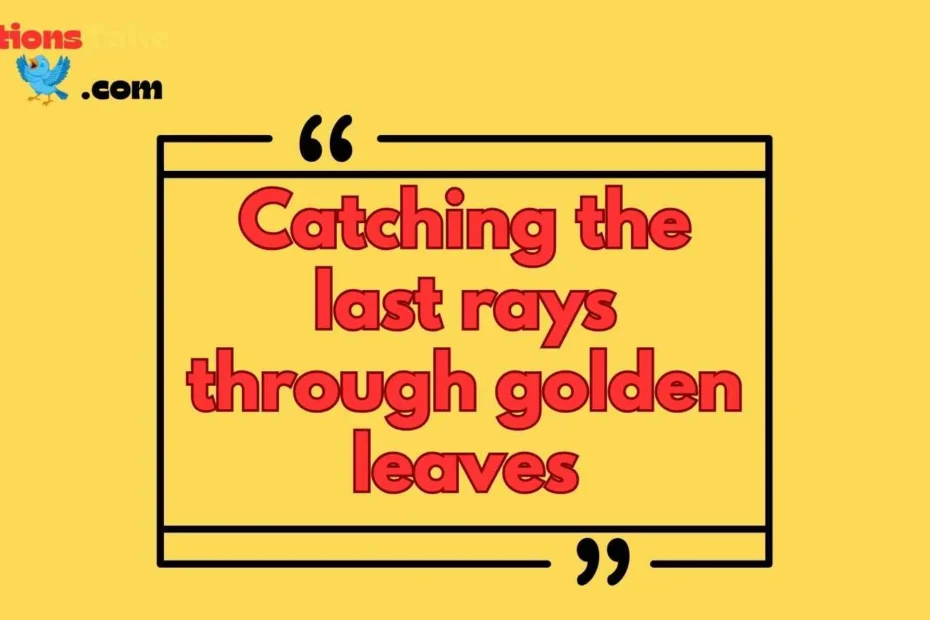 Leaves Captions for instagram