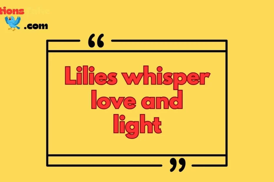 Lily Flower Captions for Instagram