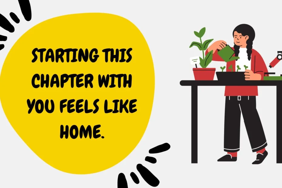 New Experience for instagram Captions