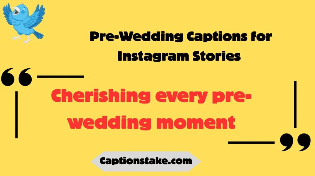  Pre-Wedding Captions for Instagram Stories