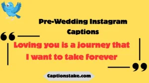 Pre-Wedding Instagram Captions