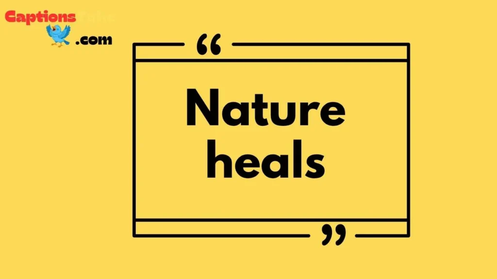 Short Lost in Nature Captions