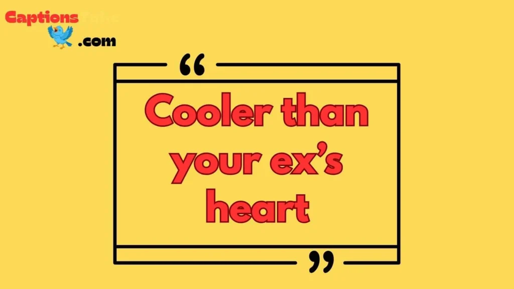 Funny Ice Captions for Instagram