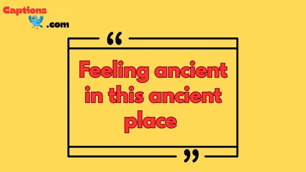 Funny Museum Captions for Instagram