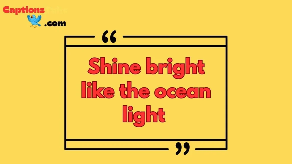 Jellyfish Instagram Captions with Lyrics