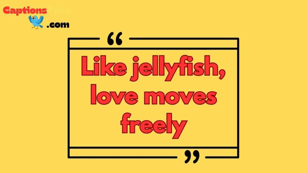 Jellyfish Quotes Love