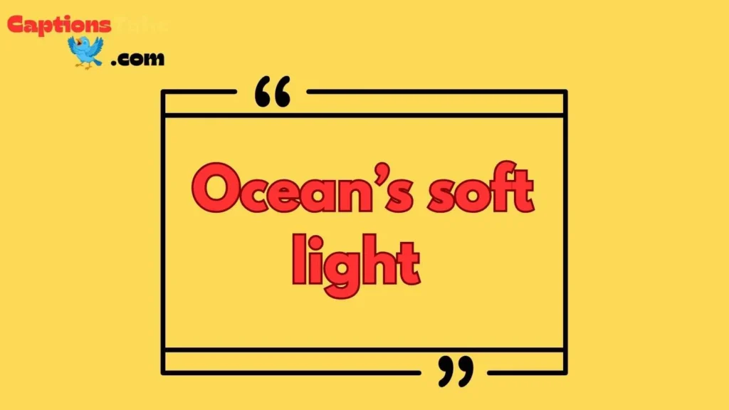 Jellyfish Quotes Short