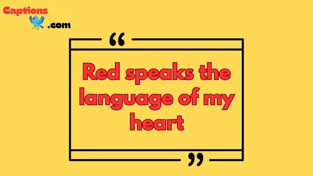 Red Rose Captions for Instagram