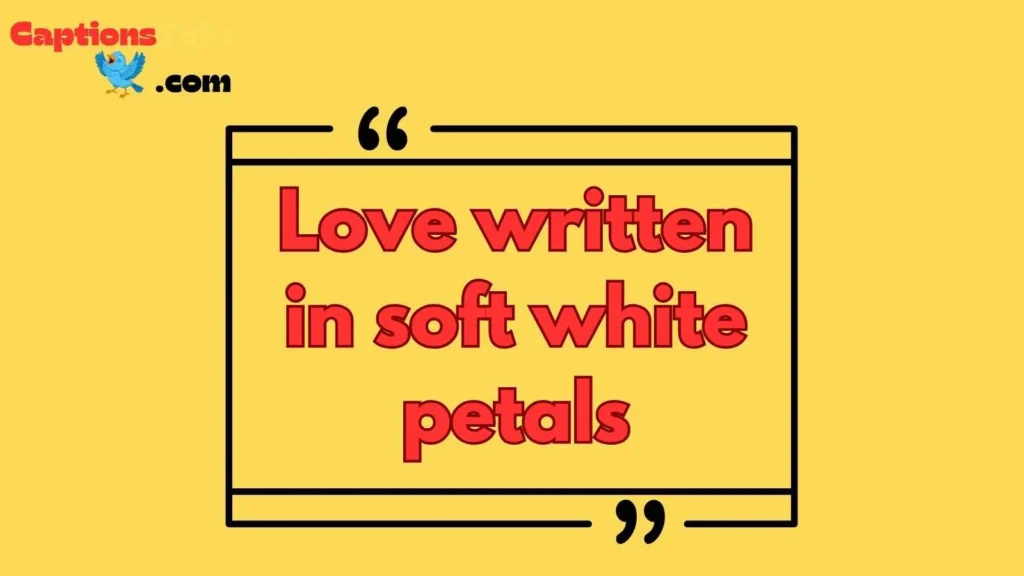 Romantic White Flower Captions