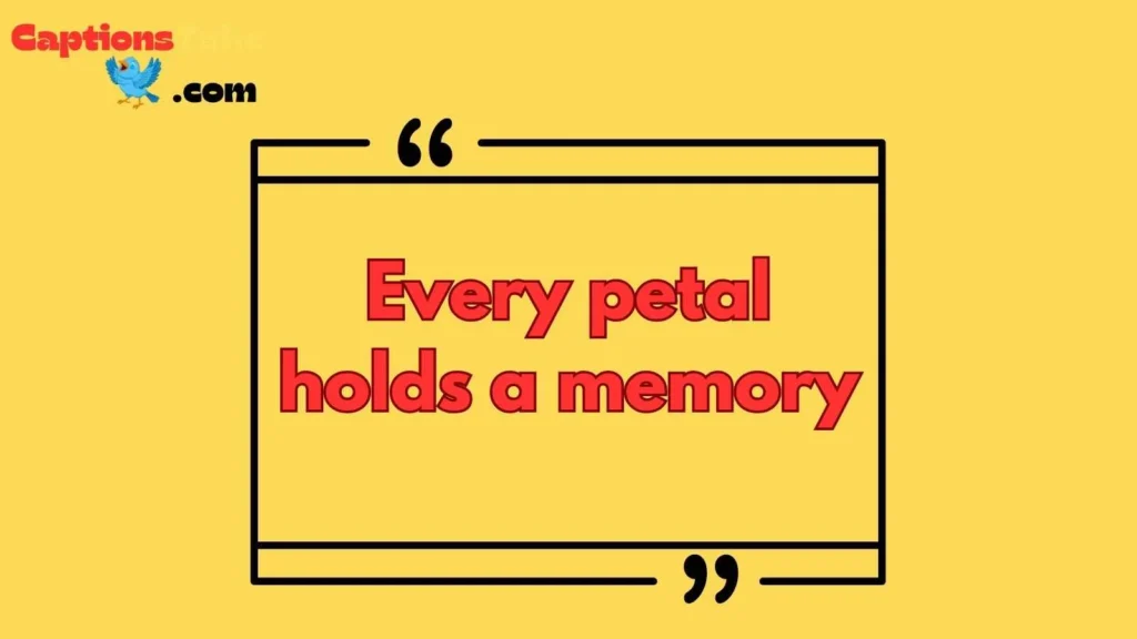 Short Heartfelt Rose Captions for Instagram