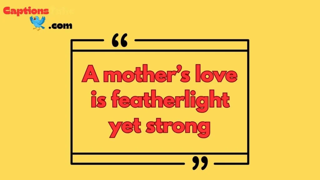 Bird Nest Captions About Love