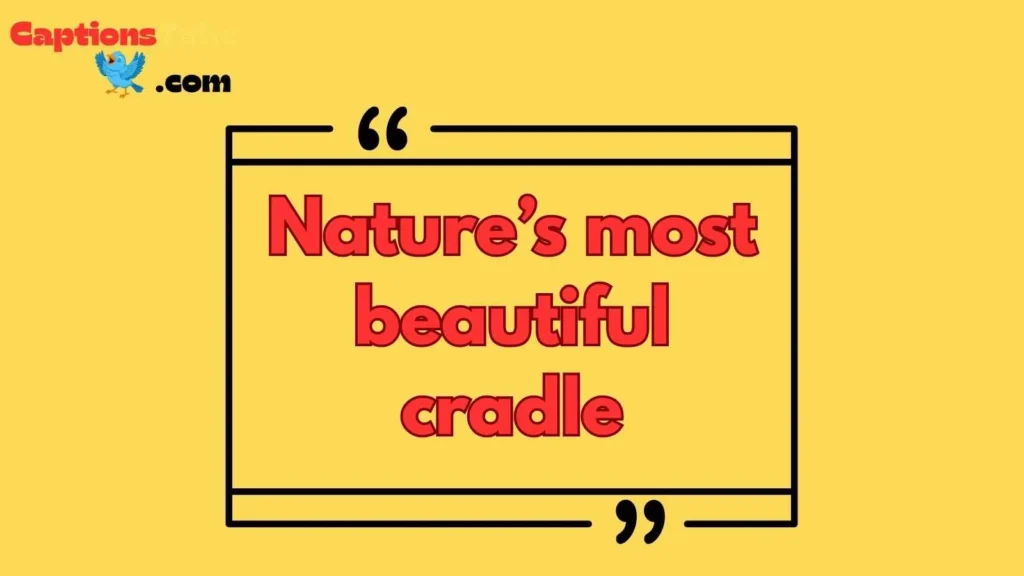 Bird Nest Captions for Instagram