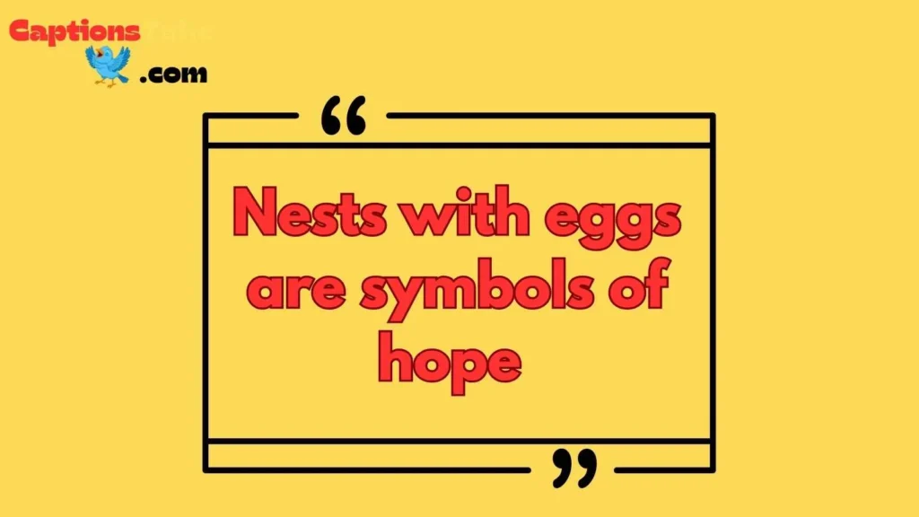 Bird Nest Egg Quotes