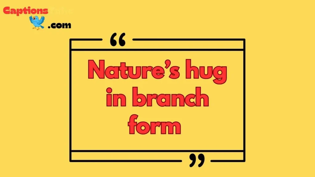 Bird Nest Quotes Short