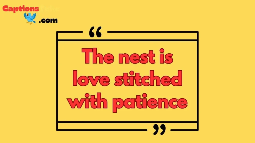 Birds Nest Quotes