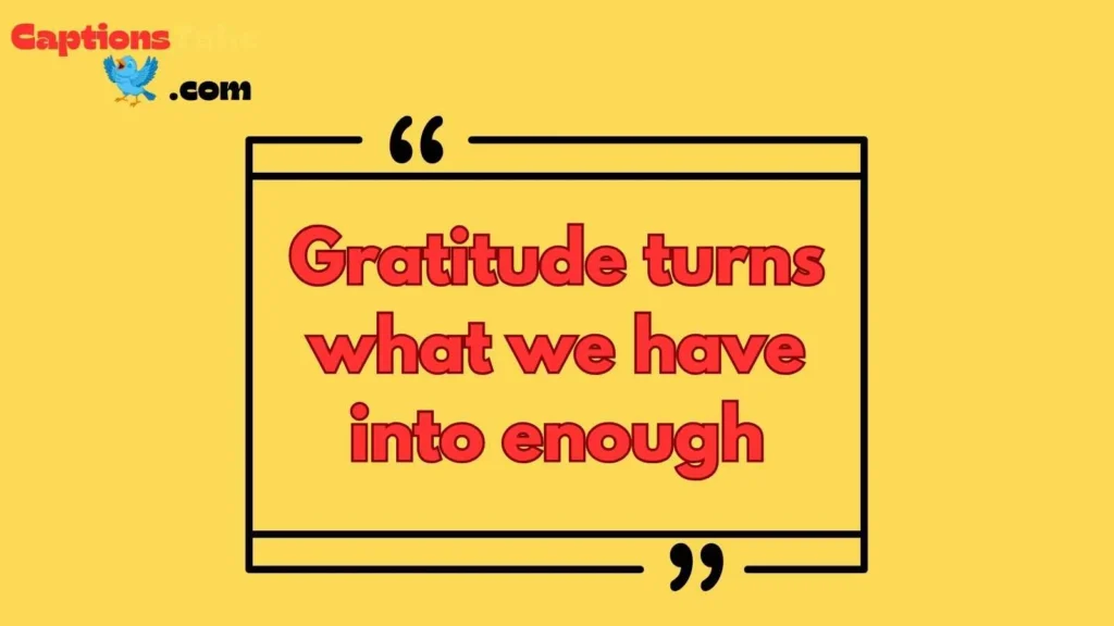 Captions for Thanksgiving