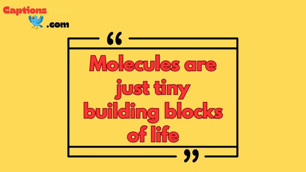 Chemistry Captions for Science Lovers