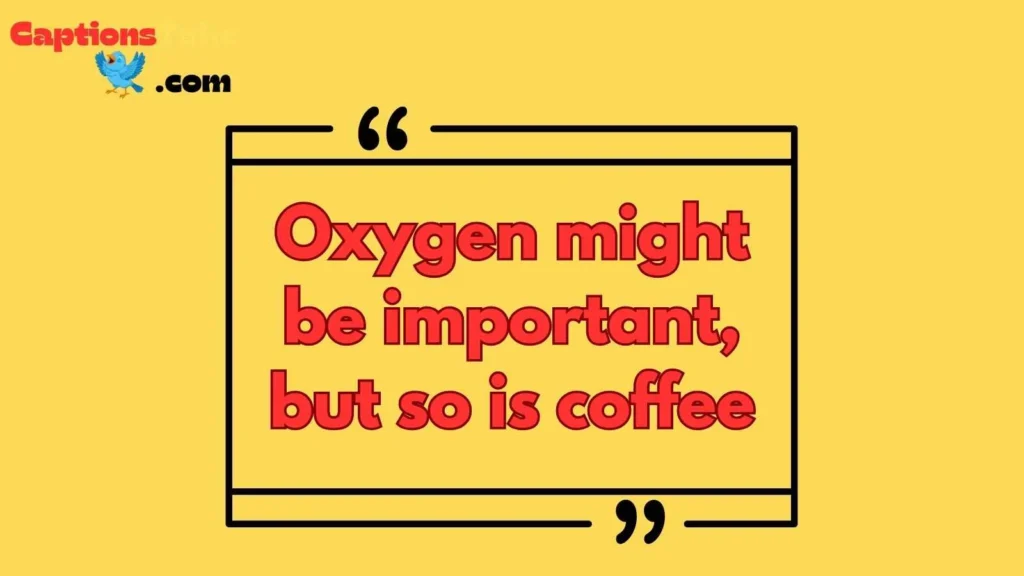Captions for Chemistry Students