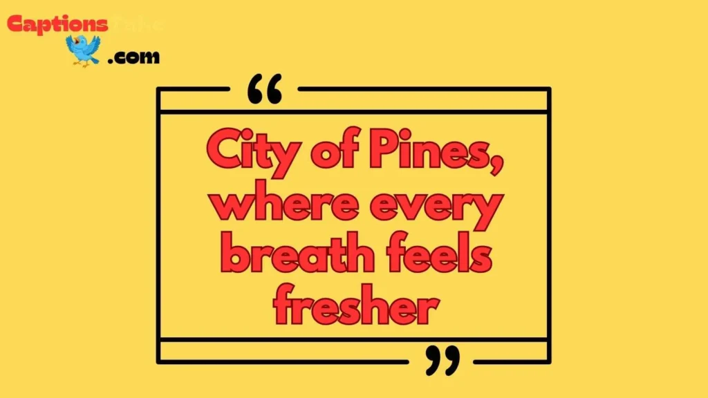 City of Pines Caption