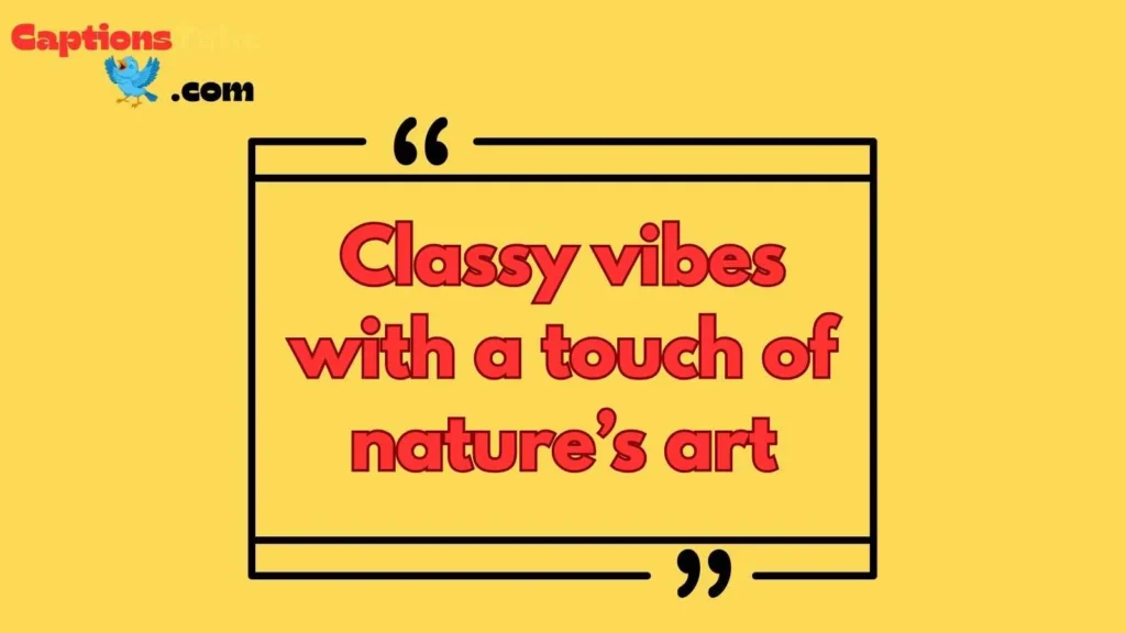 Classy Bird Nest Captions For Instagram