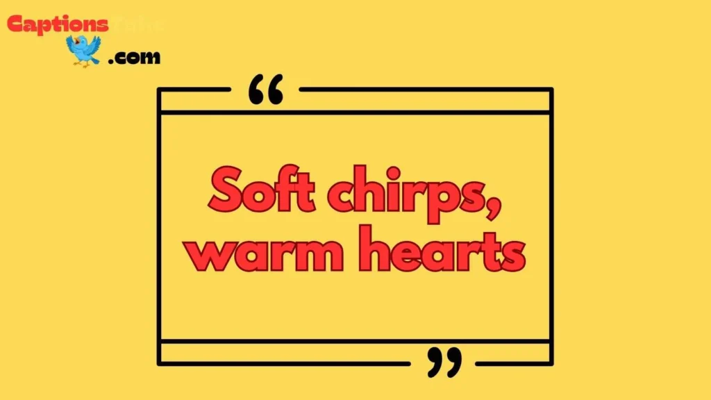 Cute Bird Nest Captions