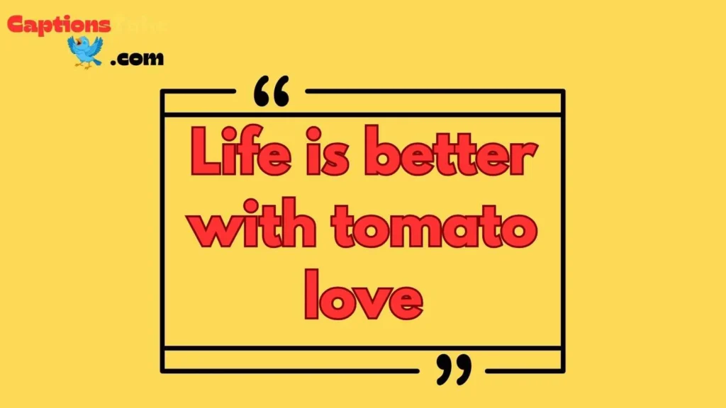 Cute tomato quotes