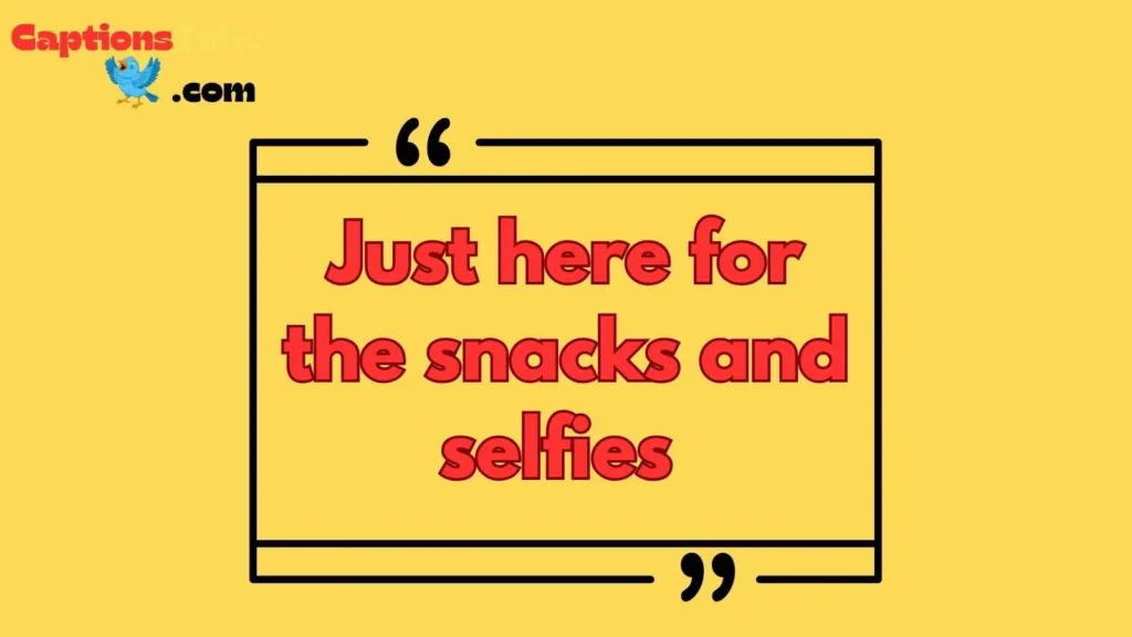 Festival Captions Funny