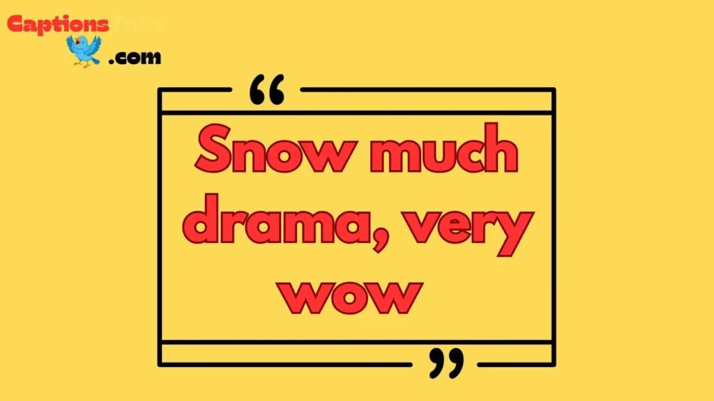 Funny Snow Dog Captions for Instagram