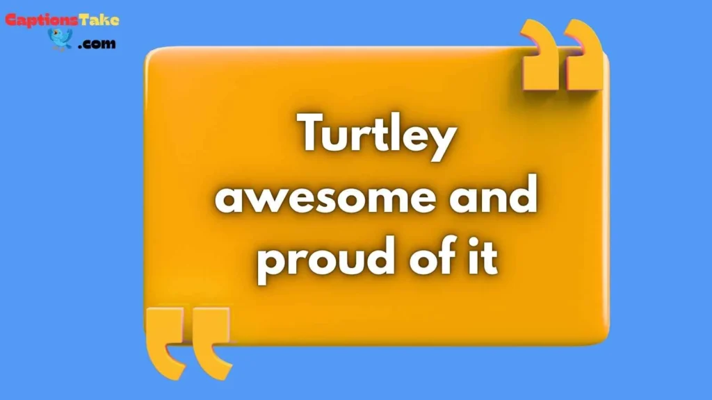 Funny Turtle Captions