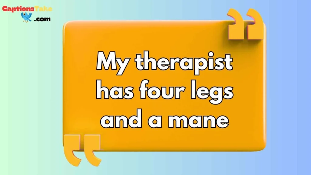 Funny Western Captions