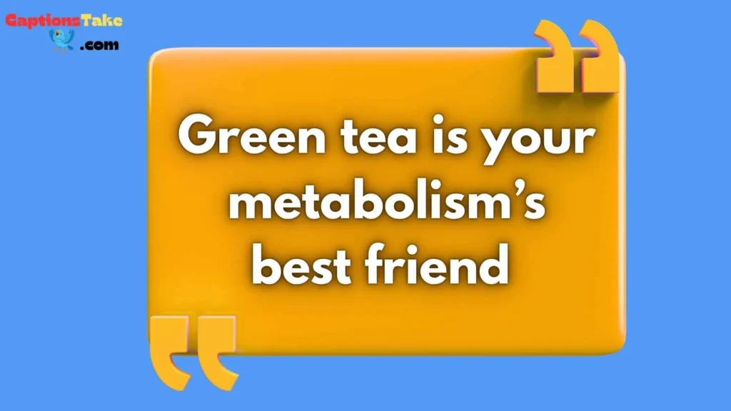 Healthy Drinks Besides Water
