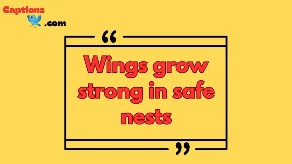 Inspirational Bird Nest Captions
