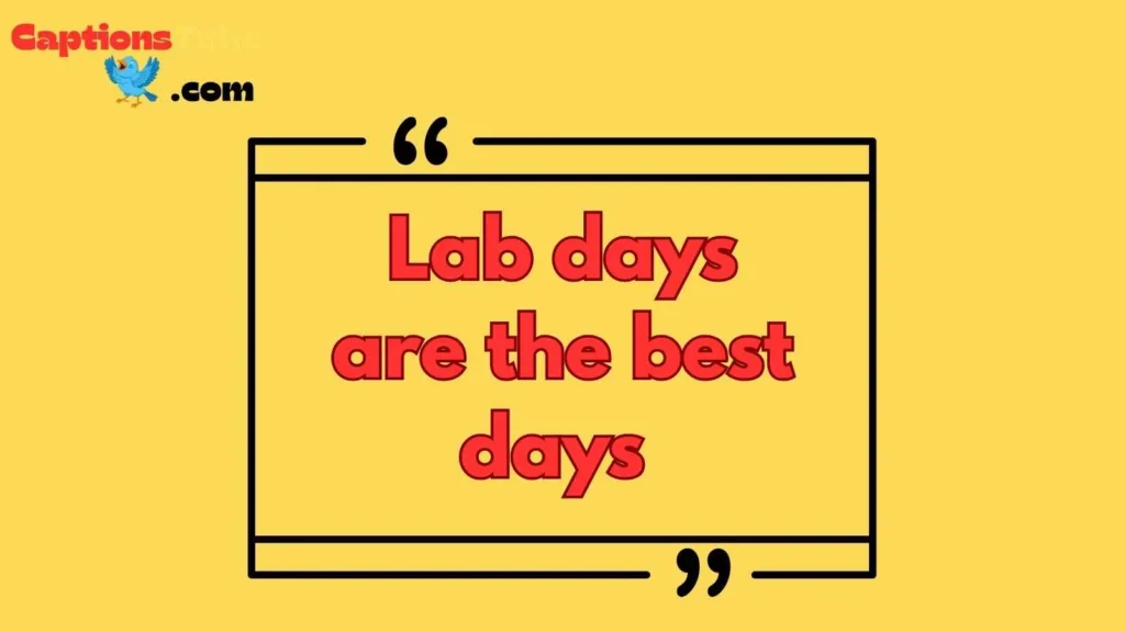 Lab captions for Instagram