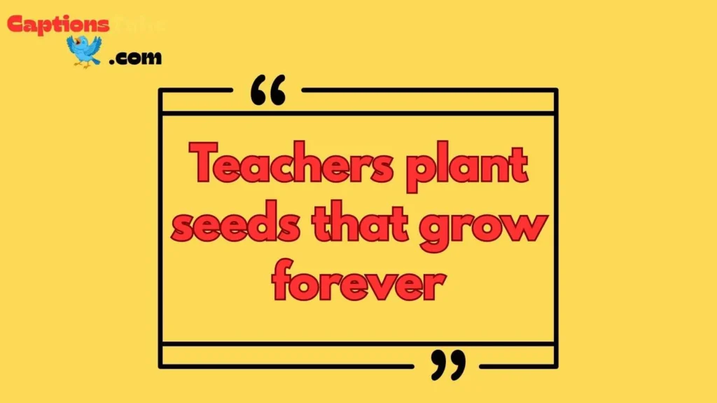 Last Day of School Captions for Teachers 