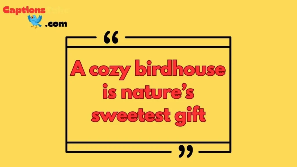Quotes about bird houses