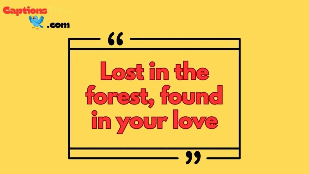 Romantic Pine Tree Captions