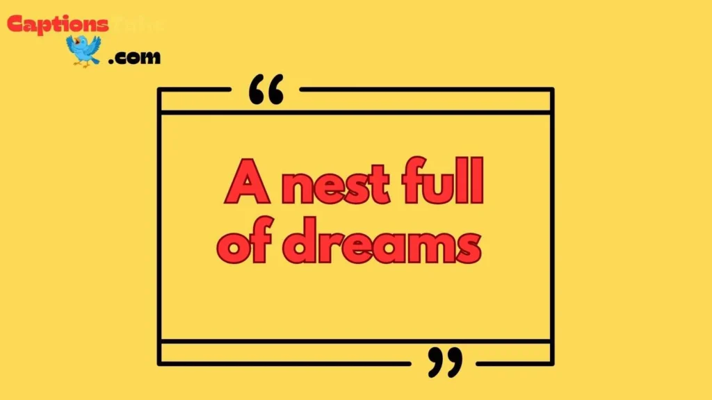 Short Bird Nest Captions