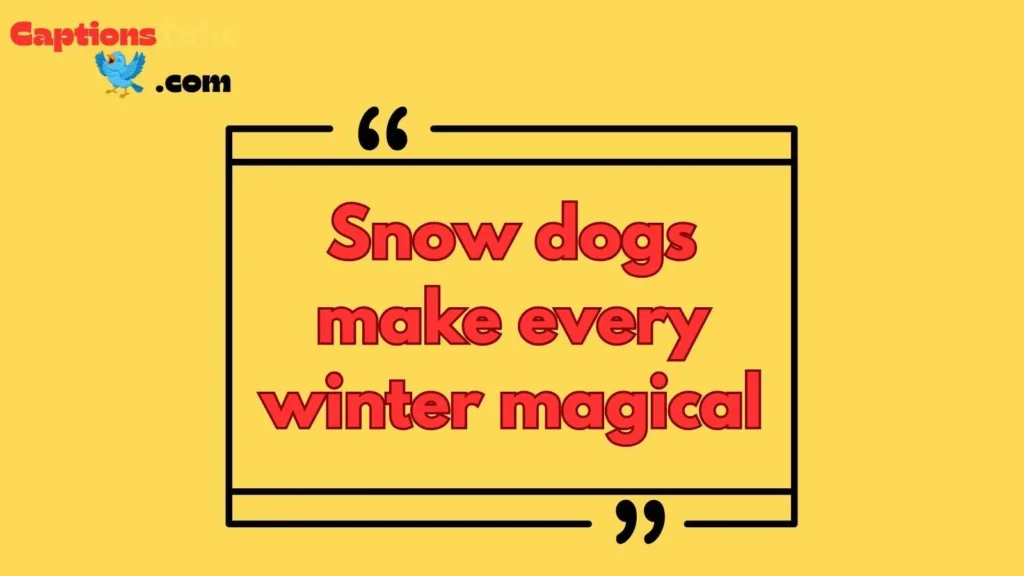 Snow Dog Winter Wonderland Captions