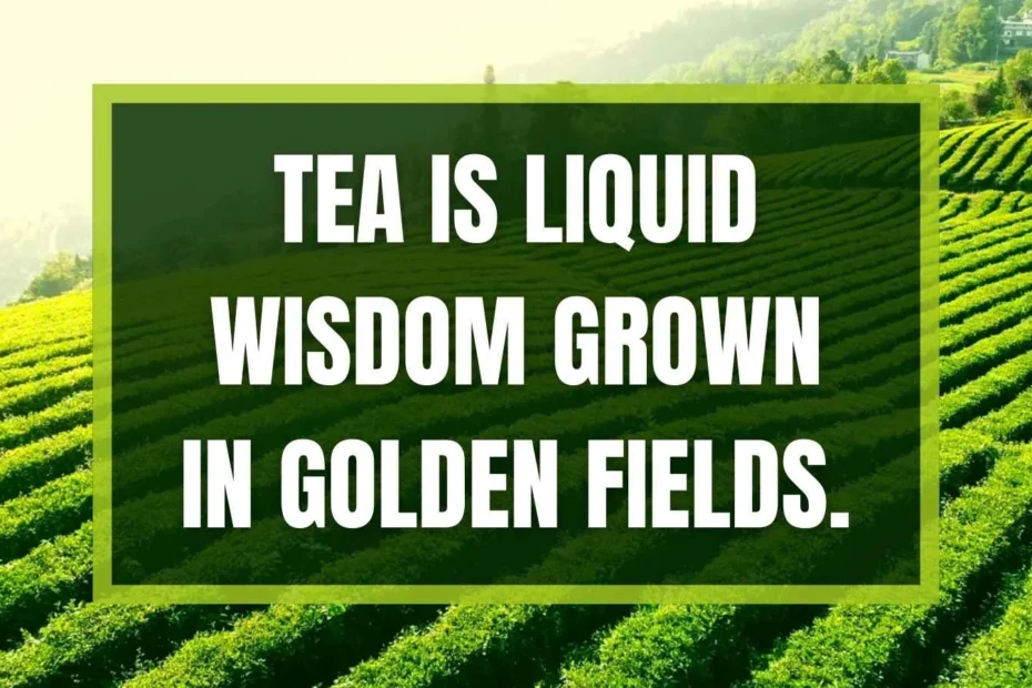 Tea Garden Instagram Captions