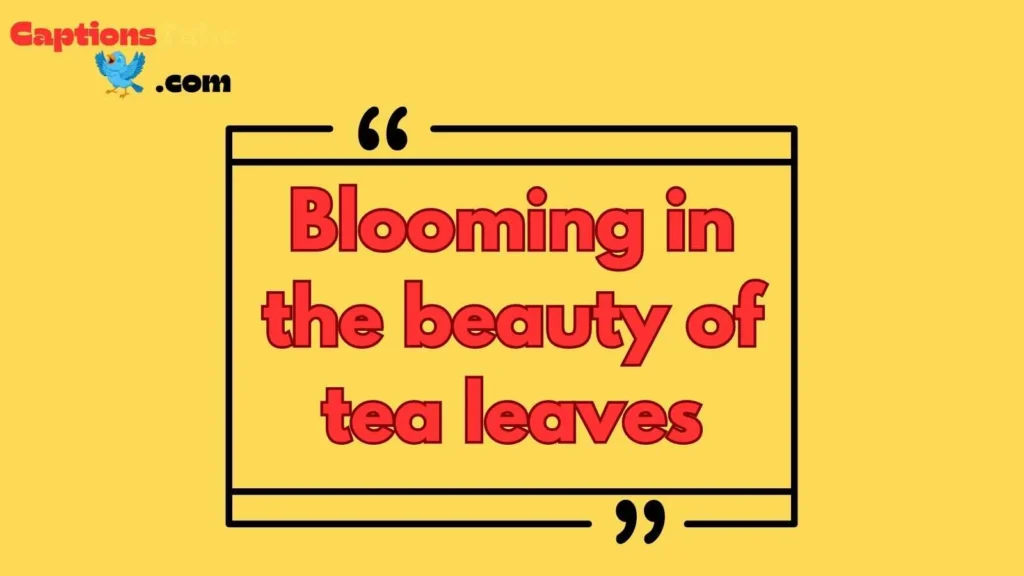 Tea Garden Instagram Captions for Girl