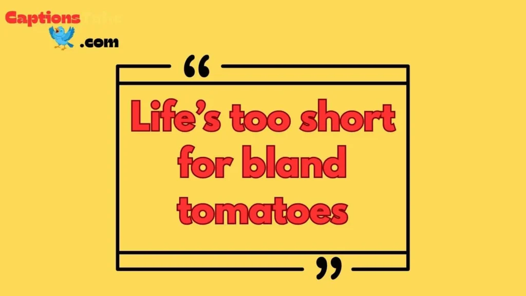 Tomato Quotes Funny