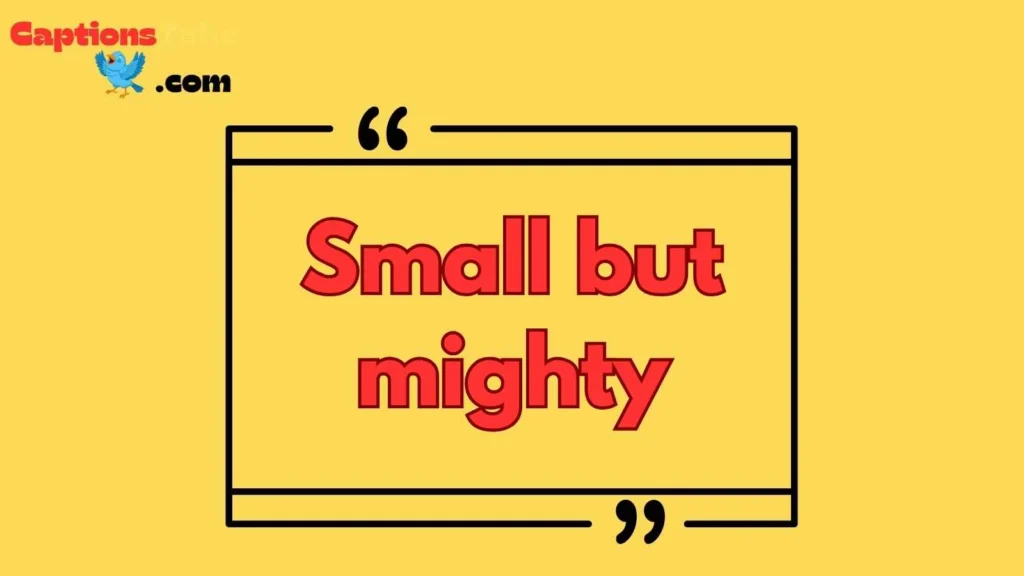 Tomato quotes short